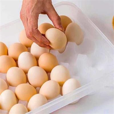 30'lu Yumurta Saklama Kabı (3936)