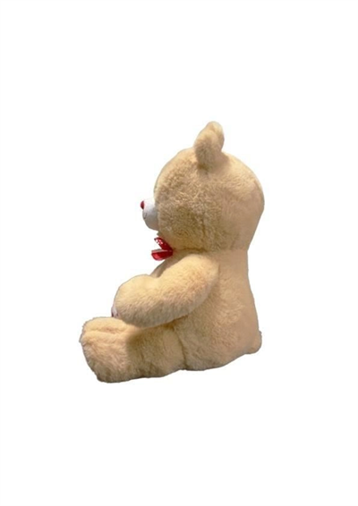 35 CM PATİLEN KALPLİ AYI -HLY