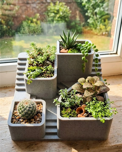 3D Baskı Kaktüs Saksı Seti Çok Bölmeli Modern Dekoratif Masaüstü Bitki Düzenleyici