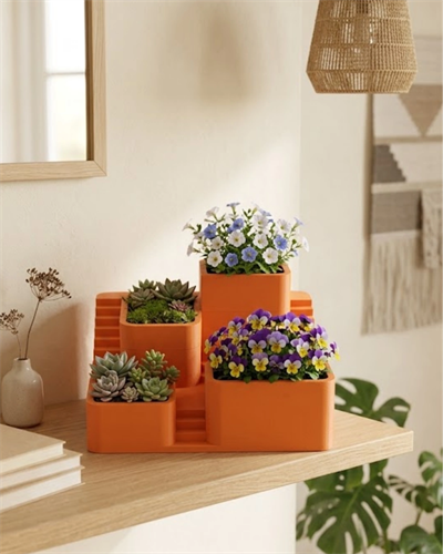 3D Modern Çok Bölmeli Kaktüs Saksı Seti Dekoratif Masaüstü Sukulent Standı