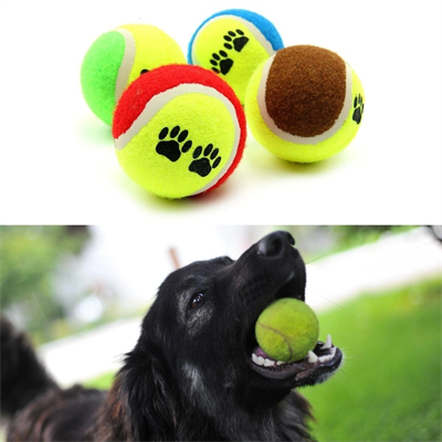 3'lü Renkli Desenli Tenis Topu Kedi Köpek Oyuncağı Bx40