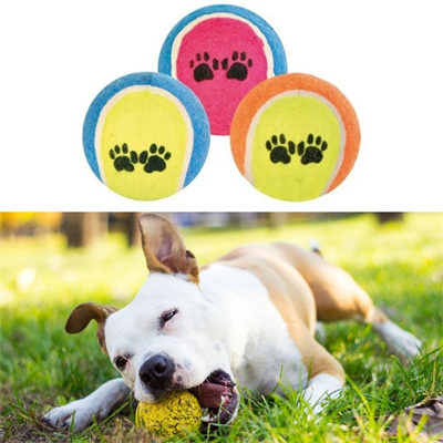 3'lü Renkli Desenli Tenis Topu Kedi Köpek Oyuncağı Bx40
