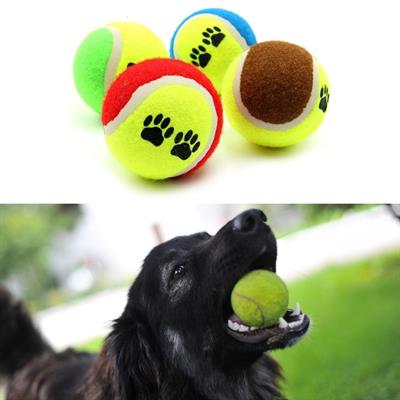 3'lü Renkli Desenli Tenis Topu Kedi Köpek Oyuncağı (3936)