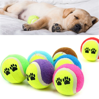 3'lü Renkli Desenli Tenis Topu Kedi Köpek Oyuncağı Bx40