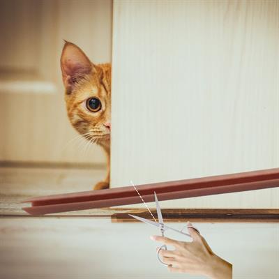 4 Adet Kapı Toz Rüzgar Önleyici Isı Yalıtımı Sağlayan Sızdırmaz Strafor (3936)