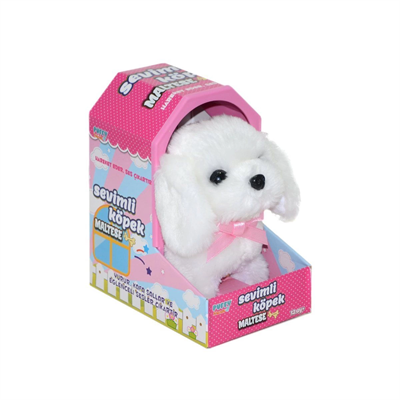 47100 Sevimli Köpek Maltese