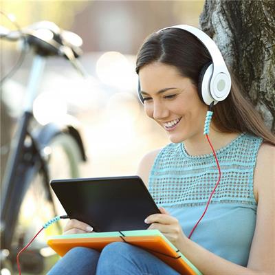 4'lü Apple, Android Şarj Kablosu Koruyucu Silikon Spiral Yay Aparat (3936)