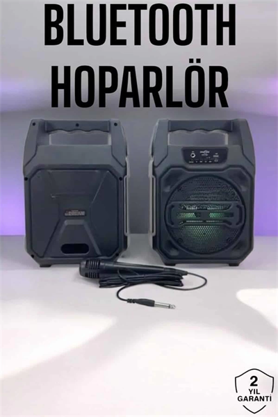 6.5 İnç Kablosuz Hoparlör Bluetooth Bağlantılı Yüksek Ses Kaliteli