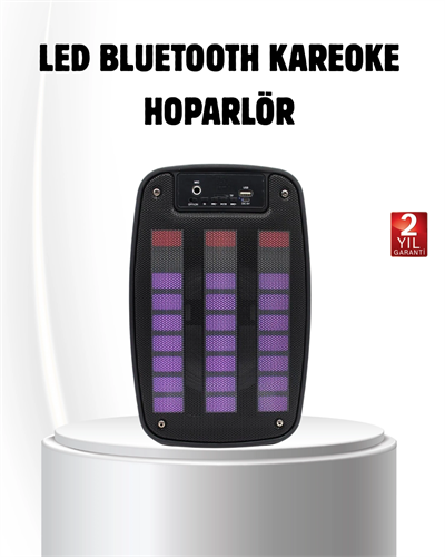 6.5” LED Işıklı GTS 1793 Bluetooth Hoparlör Güçlü Bass ve FM Destekli
