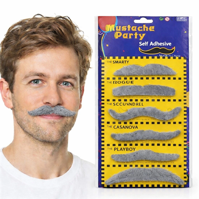 6’lı Yapışkanlı Gri Parti Bıyık Seti – Farklı Modeller