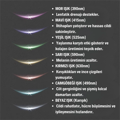 7 Farklı Işık Modlu Titreşimli Boyun Ve Yüz Ems Güzellik Cihazı Bx40