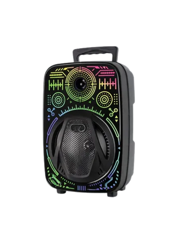 8 İnç Karaoke Hoparlör USB AUX FM Destekli Işıklı Speaker