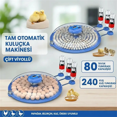 80 ve 240 Kapasiteli Fonksiyonel Tam Otomatik Kuluçka Papağan Mini Kuş Tavuk Kaz Ördek Uyumlu