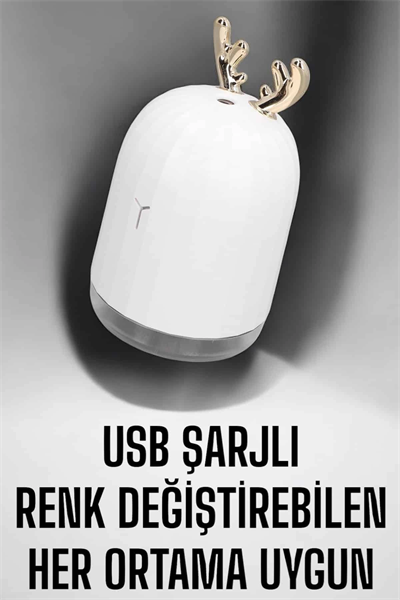 Aromaterapi Hava Temizleyici Buhar Makinesi Taşınabilir Şarjlı