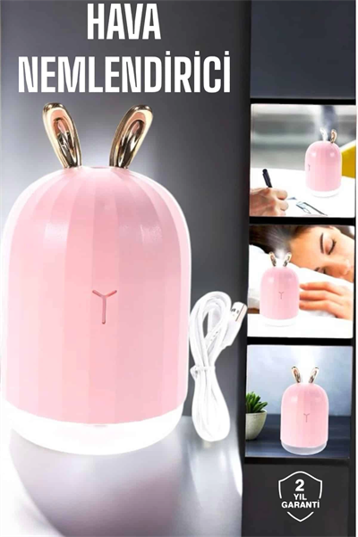Aromaterapi Hava Temizleyici Buhar Makinesi Taşınabilir Şarjlı