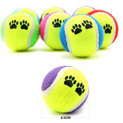 At Getir Köpek Eğitim Topu Bx40