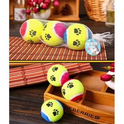 At Getir Köpek Eğitim Topu Bx40