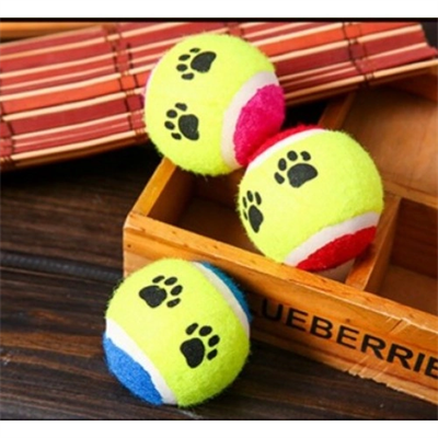At Getir Köpek Eğitim Topu Bx40