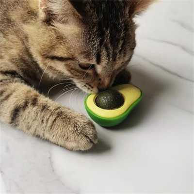 Avokado Model Yapışkanlı Kedi Oyuncağı Yenilebilir Kedi Nanesi Otu Bx40