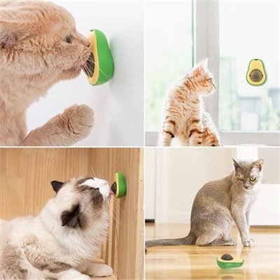 Avokado Model Yapışkanlı Kedi Oyuncağı Yenilebilir Kedi Nanesi Otu Bx40