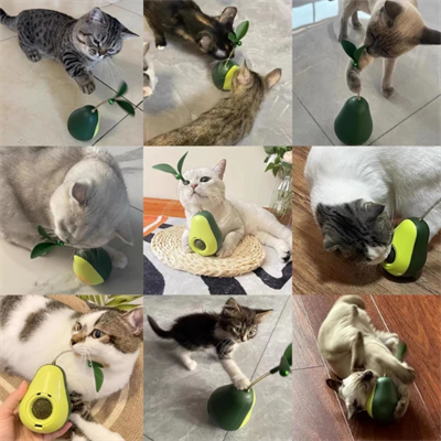 Avokado Şeklinde Kedi Naneli ve Mama Hazneli Kedi Oyuncağı