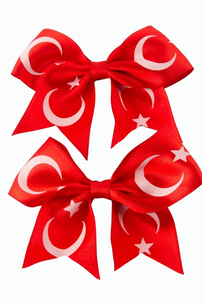 Ay Yıldız Fiyong Pens Toka 2 Adet