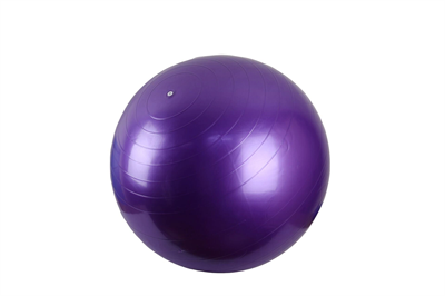 B30423117 PİLATES YOGA TOPU