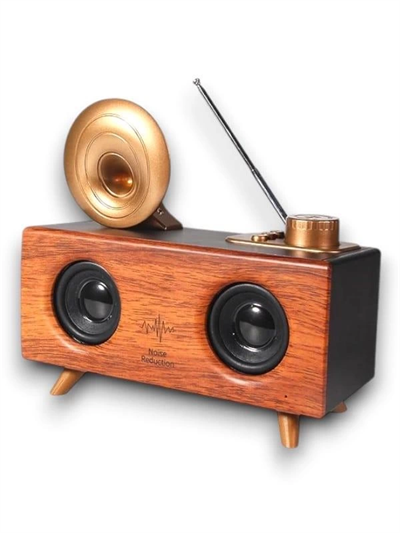 B6 SPEAKER HOPARLÖR