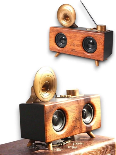 B6 SPEAKER HOPARLÖR