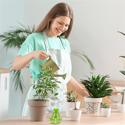 BUFFER® Kurbağa Şeklinde Bitki Sabitleyici – Bahçe ve İç Mekan Bitkileri İçin Dal ve Gövde Destek Aparatı, Çok Amaçlı Bitki Tutucu Klips