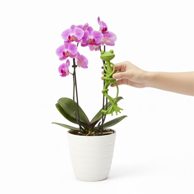 BUFFER® Kurbağa Şeklinde Bitki Sabitleyici – Bahçe ve İç Mekan Bitkileri İçin Dal ve Gövde Destek Aparatı, Çok Amaçlı Bitki Tutucu Klips