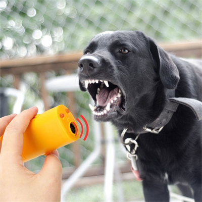 BUFFER® Ultrasonik Köpeksavar Köpek Kovucu Köpek Kornası Eğitim Cihazı