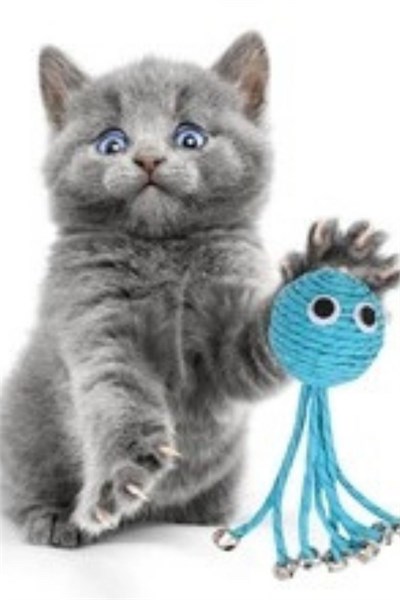 BUFFER® Zilli Peluş Yumuşacık Renkli Hasır  Mavi Ahtapot  Kedi Oyuncağı