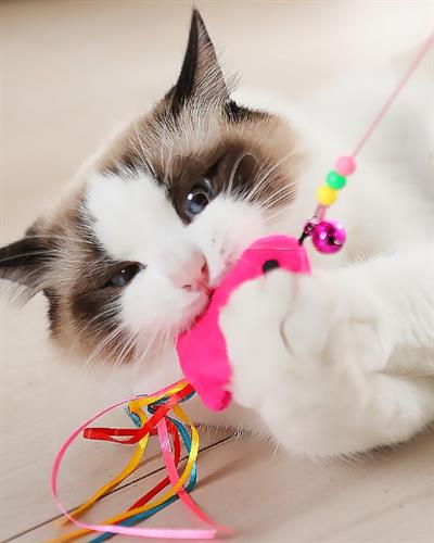 Balıklı Kedi Oyun Oltası 90 Cm (3936)
