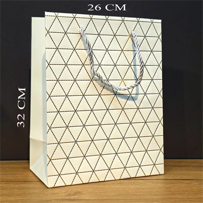 Beyaz Geometrik Desenli Büyük Boy Karton Hediye Çantası