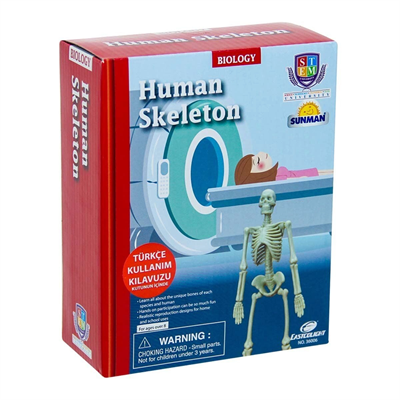 Bilim Seti : İnsan İskeleti - S00028206