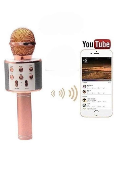 Bluetooth Hoparlör USB AUX SD Kart Kaoroke Mikrofon Uzun Pil Ömrü