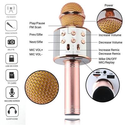 Bluetooth Karaoke Mikrofon (3936)