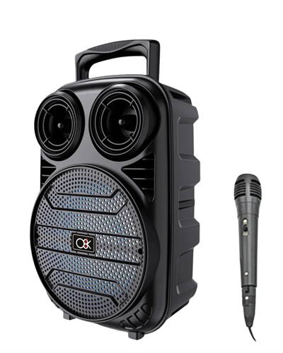 Bluetooth Taşınabilir Karaoke Hoparlör 6.5 İnç Mikrofonlu RGB Işıklı USB TF Kart Destekli