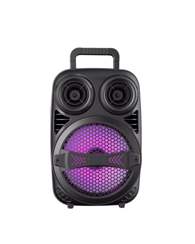 Bluetooth Taşınabilir Karaoke Hoparlör 6.5 İnç Mikrofonlu RGB Işıklı USB TF Kart Destekli