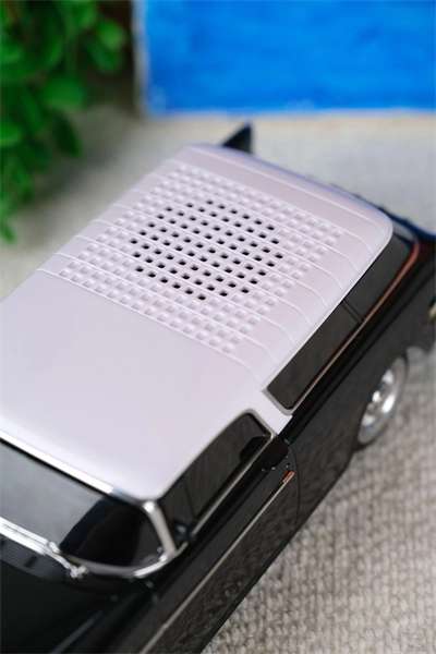 Bluetooth hoparlör siyah 10W çıkışlı, FM radyo, SD kart, USB destekli, 5 saat dinleme