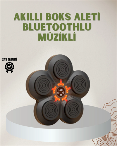 Bluetoothlu Akıllı Boks Antrenman Cihazı Işıklı Hedefli Kardiyo ve Fitness Aleti