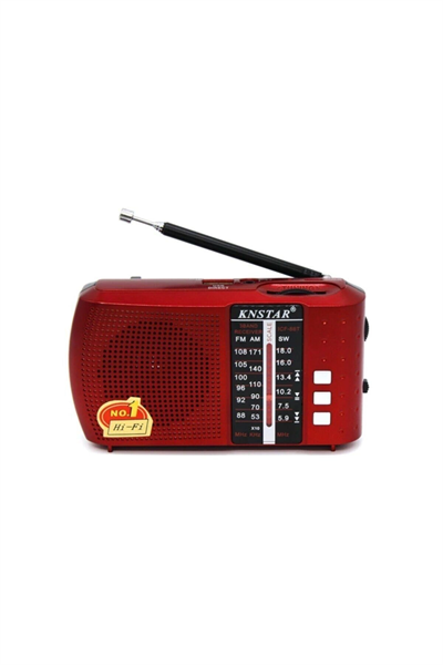 Bluetoothlu şarjlı cep radyosu FM radyo USB TF kart girişli çok renkli 2 yıl garantili