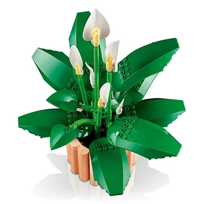 Botanicals Barış Çiçeği 11504