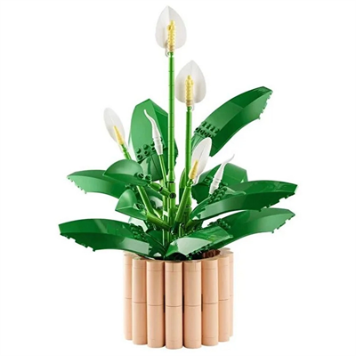 Botanicals Barış Çiçeği 11504