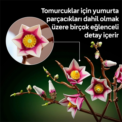 Botanicals Manolya Dalları 11510