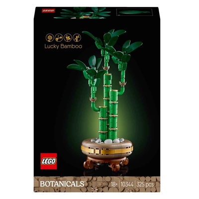 Botanicals Şans Bambusu 10344