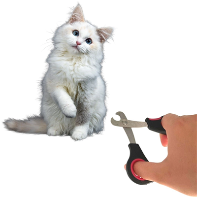 Büyük Irk Köpek Kedi Çelik Uçlu Evcil Hayvan Tırnak Makası Pati Bakım Aleti Ergonomik Kaymaz Bx40