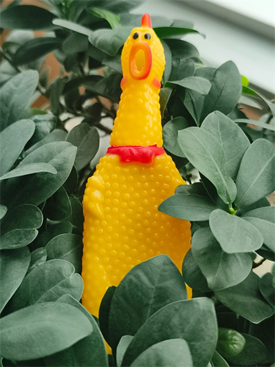 Büyük Pet Park Köpek Tuvalet Eğitim Seti – Evcil Dostunuz İçin Hijyenik Çözüm 1 Adet Çığlık Atan Ördek 1 Adet Yıkanabilir Rulo Hediye