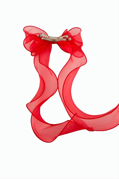 Çift Fiyonglu Tül Otomatik Toka 30 cm